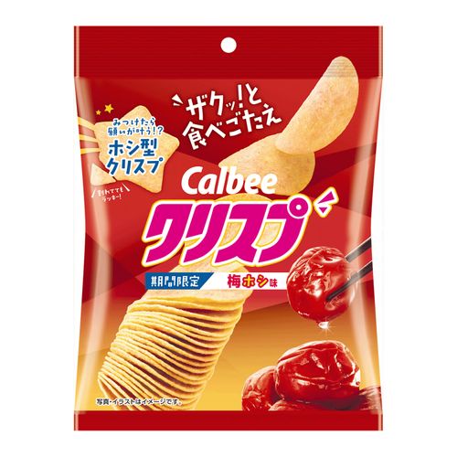 4901330621193



0



アイネット
クリスプ 梅ホシ味