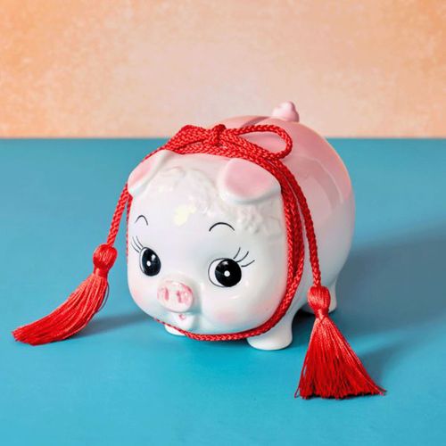 74JP6103



アミナコレクション
ぶたちゃん貯金箱 中