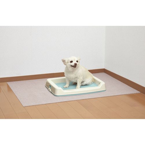 4973381068524



0



サンコー
ペット用トイレ下敷きマット