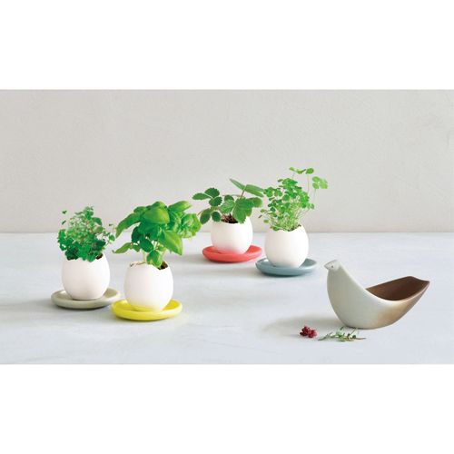 4528757043041



0



聖新陶芸
栽培 エッグリング＆ソーサー