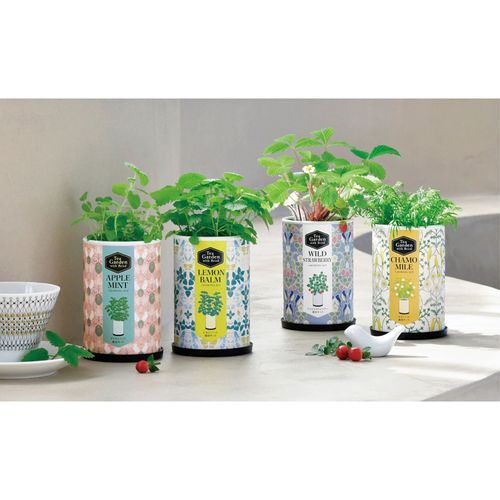 4528757042808



0



聖新陶芸
栽培セット ティーガーデン