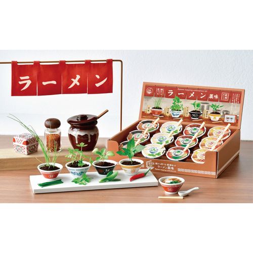 GD-1059-01234



聖新陶芸
ラーメン薬味栽培キット