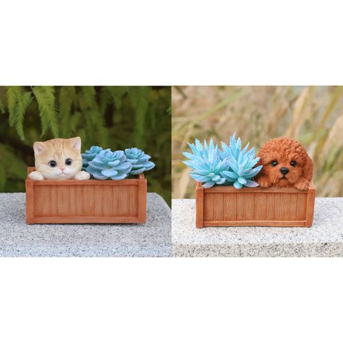 4582756154443



0



ＷｏｏＢｉａ　Ｊａｐａｎ
木箱に隠れるプランターシリーズ