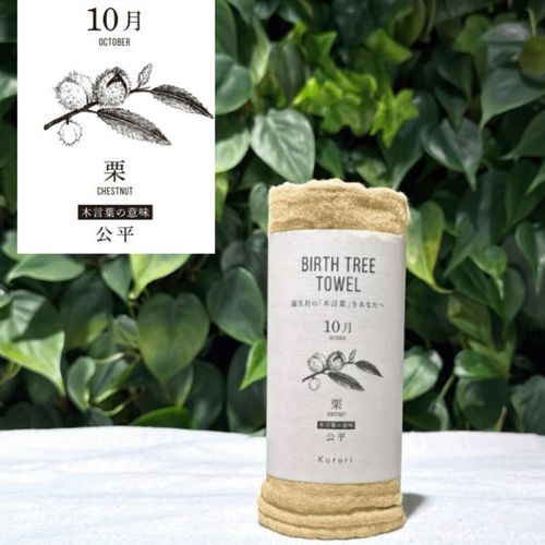 0



リズム
バースツリタオル10月「公平」クリ