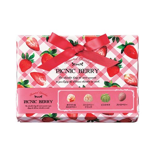 4901051125789



71257



芥川製菓
ピクニックベリー S