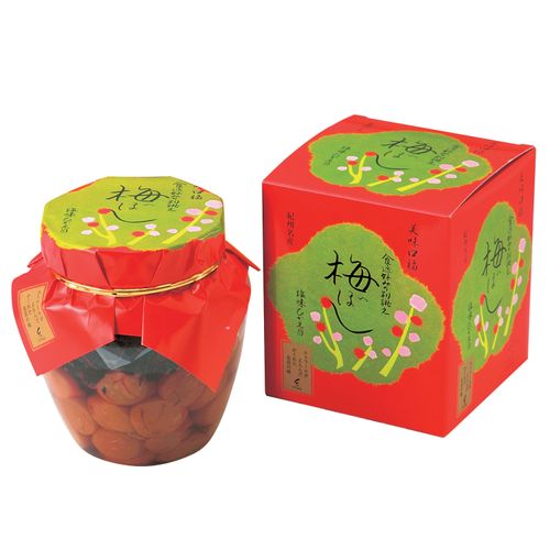 4571309070880







中田食品
紀州梅干し 1kg（包装なし）