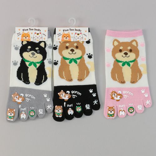 スタジオ・ポアック
5本指 ラバー付き 柴犬 スニーカー丈 靴下
