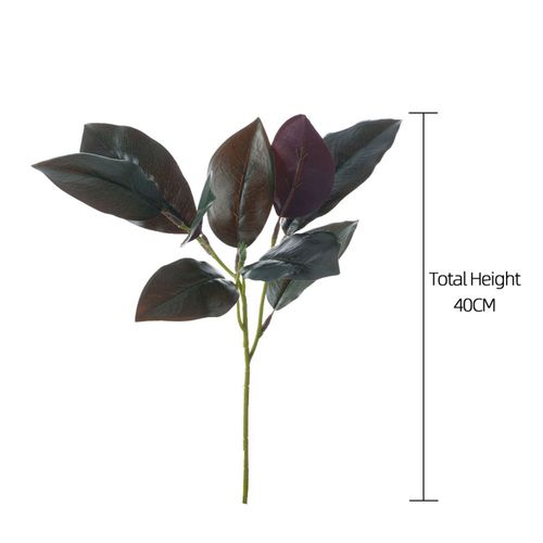 4589529111825



TF0252



タイセイトレーディング
マグノリアリーフ