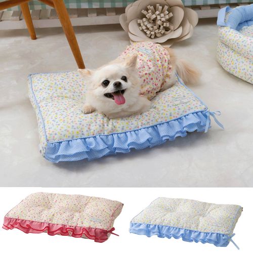 小泉　ライフテックスカンパニー
フラワーチェックスクエアクッション