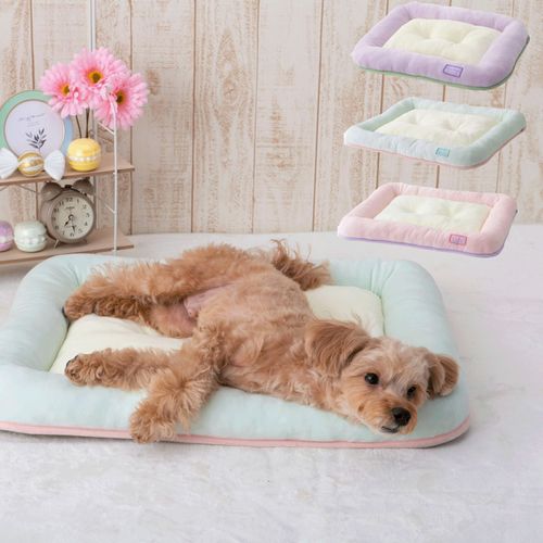 4952070593905







小泉　ライフテックスカンパニー
もちもち あごのせベット