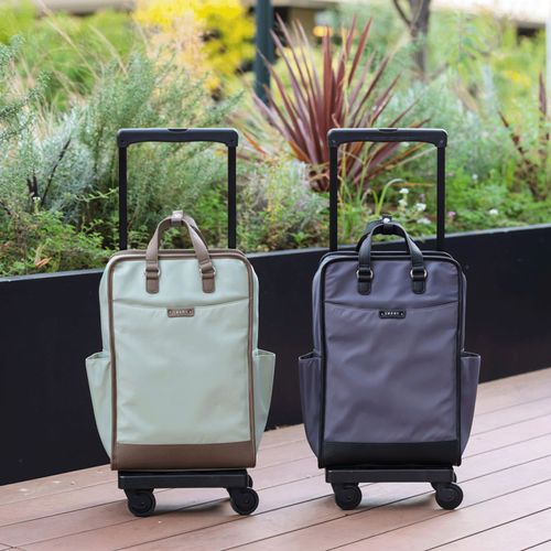 4984664707405







スワニー
スワニーD－707 ベール L21