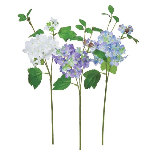 4511255574216







アスカ商会
ハイドランジア