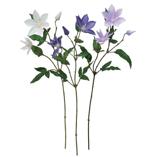 4511255553624







アスカ商会
クレマチス