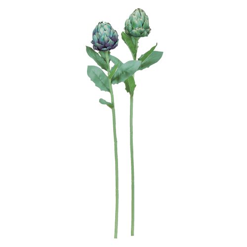 4511255572090







アスカ商会
アーティチョーク