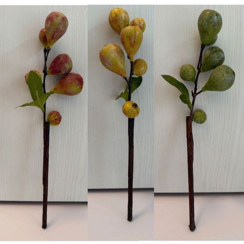 4589529112273







タイセイトレーディング
イチジクブランチ