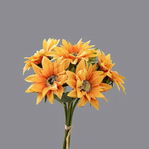 4589529112389



TF0283-L20



タイセイトレーディング
サンフラワーバンドル