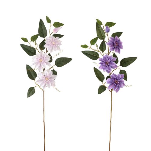 4951614412504







ビバ工芸
クレマチス