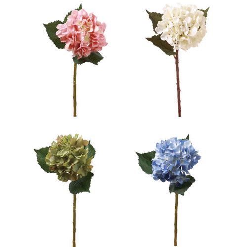 4951614679808







ビバ工芸
ハイドレンジャスプレ