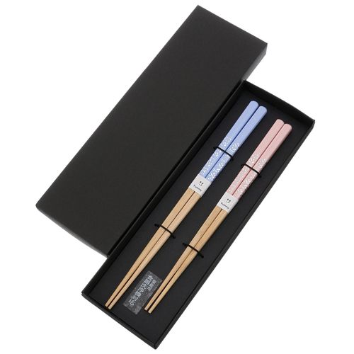 150672.689



サンライフ
ペア箸 エクラ