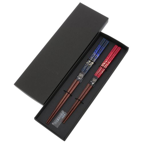 150658.665



サンライフ
ペア箸 燦爛