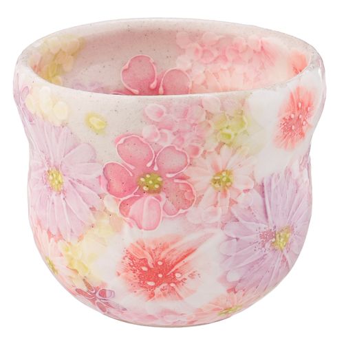 47058



松本陶器
紅彩花雅 福々碗