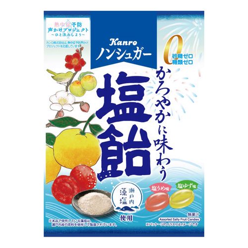 4901351002872







アイネット
カンロ ノンシュガー塩飴