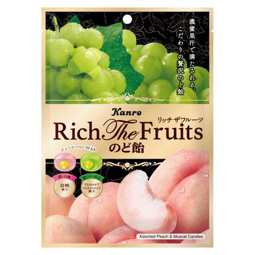 4901351002865







アイネット
カンロ リッチザフルーツのど飴