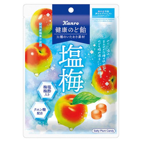 4901351002841







アイネット
カンロ 健康のど飴塩梅