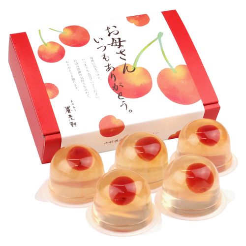 4580434987352



SET-YS



ヤバケイ
京都 養老軒 山形県産さくらんぼのゼリー（母の日メッセージつき）