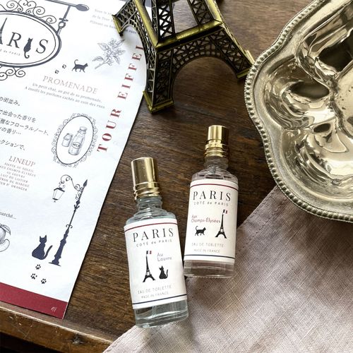 4994228032843







イー．エフ．インターナショナル
コテ・ドゥ・パリ オードトワレ