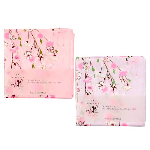 山本仁商店
京彩 SAKURA 桜守り