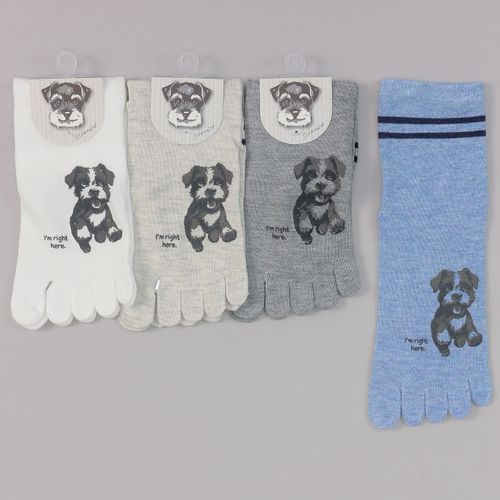 スタジオ・ポアック
5本指 ロークルー丈 シュナウザー顔料プリント2本ライン