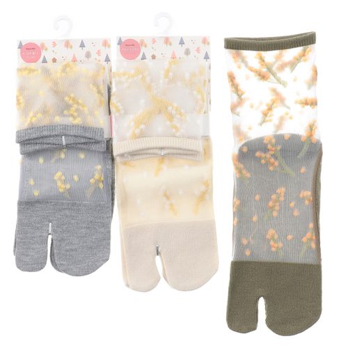 スタジオ・ポアック
足袋 シースル－ ロークルー丈 ミモザ