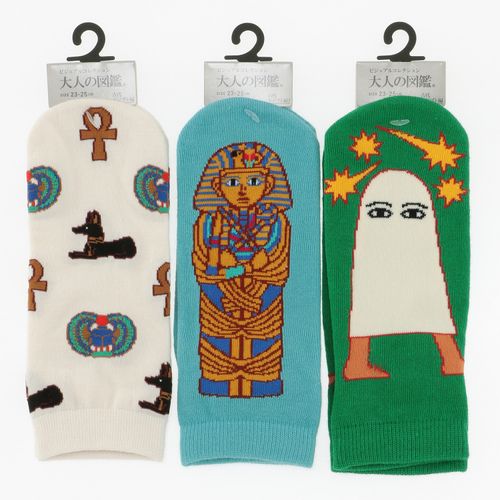 4527837999735







福助
靴下 古代エジプト編 スニーカー丈