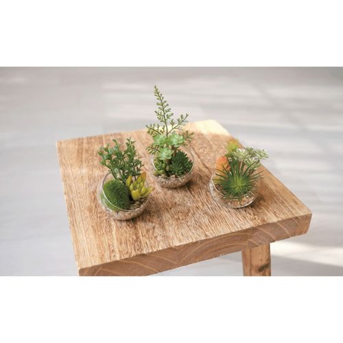 4952317614356







キシマ
エクリア 消臭アーティフィシャルグリーンS