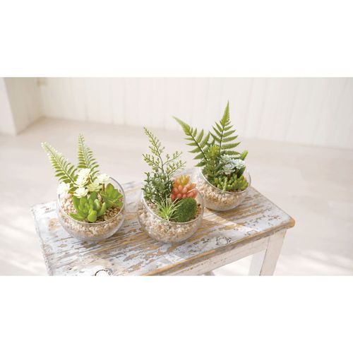 4952317614325







キシマ
エクリア 消臭アーティフィシャルグリーンL