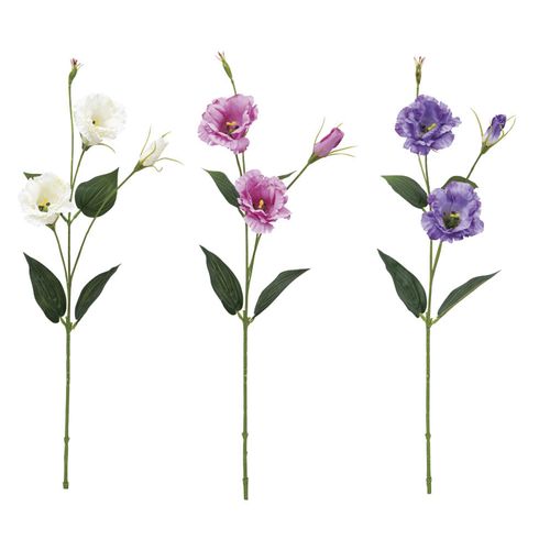 4951614422732







ビバ工芸
リシアンサス（トルコキキョウ）