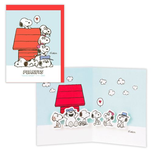 4961099852726



852726



日本ホールマーク
スヌーピー きょうだいと犬小屋【多目的／立体ブランクカード