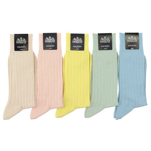 4526195629292







ハリソン
HALISON 綿麻 ワイドリブ ソックス パステル