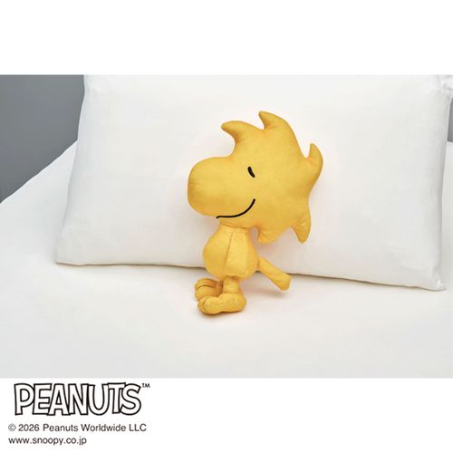 WH66353002



西川
抱き枕 ウッドストック