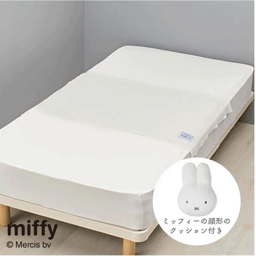 4908092678229



FR96509630 700



西川
ミッフィー クッションinブランケット ホワイト