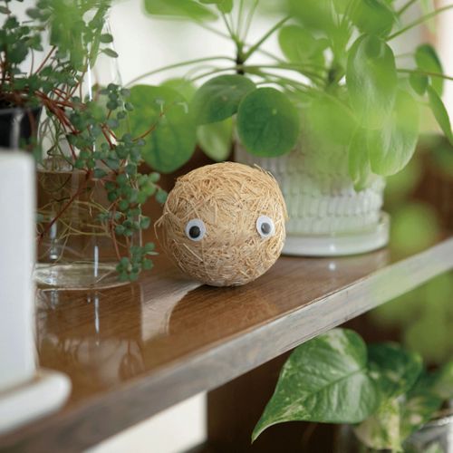 4573550569069







ケイテイ
MOKUMONモクモン