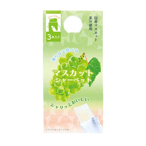 4975541692709







チャーリー
キセツノシャーベット マスカット