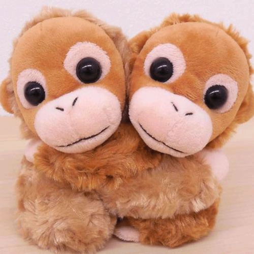 4983979532139



532139



テイクオフ
メッチャラブぬいぐるみ オラウータン