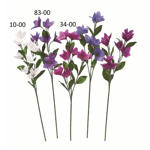 4511255514182







アスカ商会
キキョウ