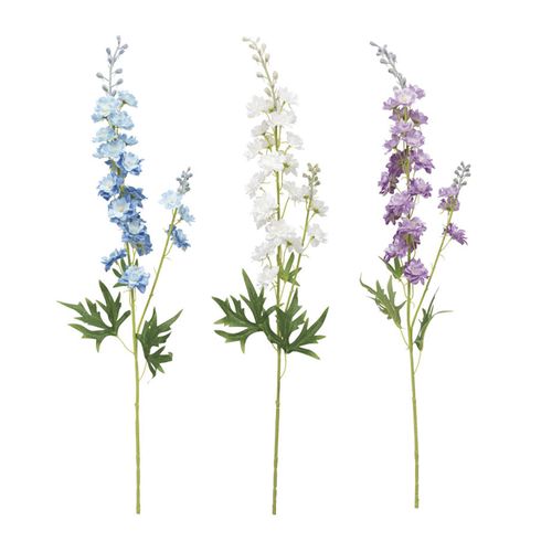 4951614257020







ビバ工芸
デルフィニウム