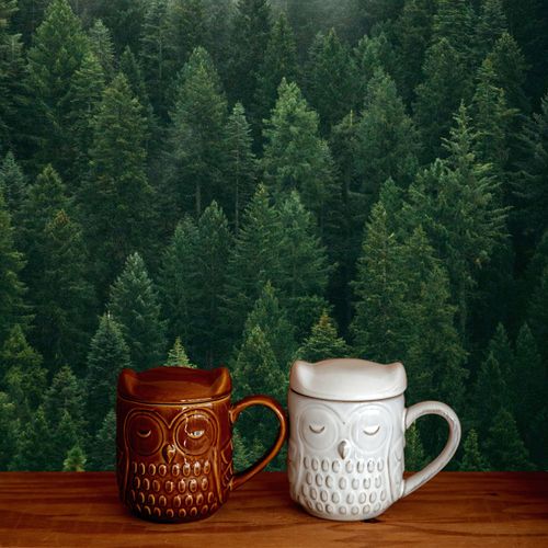 4995394176911







ビスク
森ふくろう蓋付きマグ