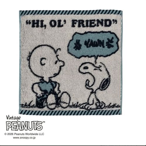 4908092670797



XT46706640 500



西川
スヌーピー ミニタオル YAWN グリーン