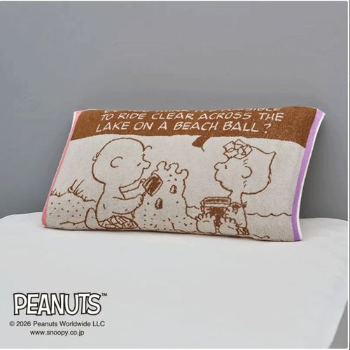 4908092666363



XT66206656 330



西川
スヌーピー のびのびタオルピローケース BEACH ブラウン