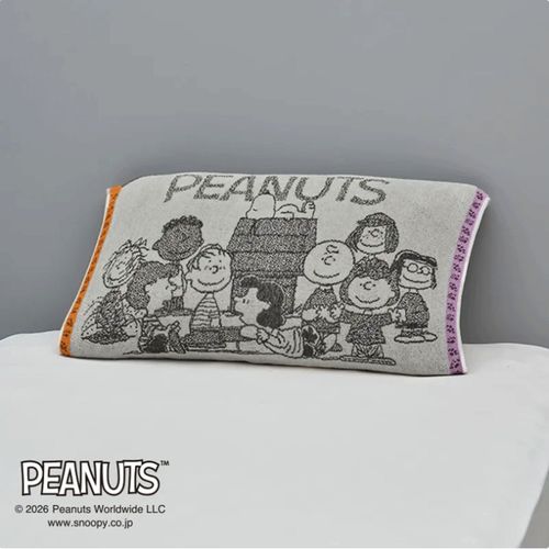 4908092666516



XT66206666 730



西川
スヌーピー のびのびタオルピローケース PEANUTS GANG グレー